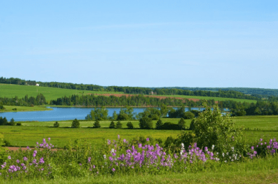 Screen Shot 2013-10-13 at 2.32.56 PM